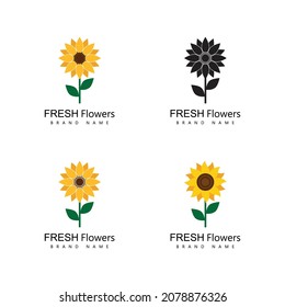 Sunflower logo icon vector illustration