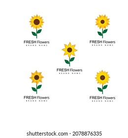 Sunflower logo icon vector illustration