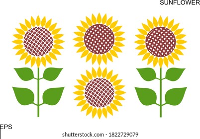Sunflower logo. Isolated sunflower on white background