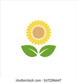 sunflower logo vector graphic design