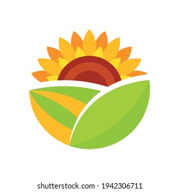 Sunflower logo yellow, flower sun summer warm. Vector illustration.