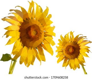 Poste de girasol bajo sobre fondo blanco