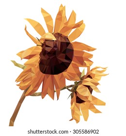 Sunflower Low poly on white background