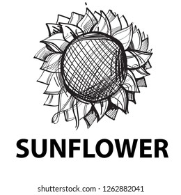 Sunflower with lush petals, logo with text. Vector black and white drawing.
