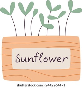 Girasol Microgreen En La Ilustración Del Vector De La Olla