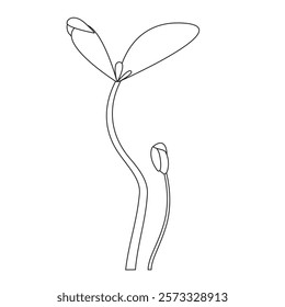 Sunflower microgreens, two sprouts, outline