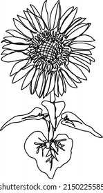 Line’s Sunflower With Monoline Flower