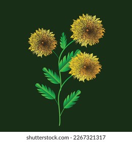The Sunflower is native to north a
America  and was first grown as a crop by indigenous tribes over 4500 years ago.