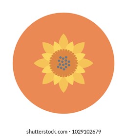  sunflower nature bloom 