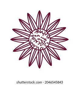 sunflower nature decoration icon isolated