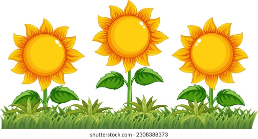 Sunflower in nature isolated illustration