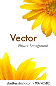 Sunflower nature summer vector background