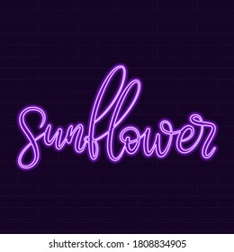 Sunflower Neon sign calligraphic lettering vector illustration with calligraphy style word. Handwritten text for fabric print, poster, card. Light banner, glowing neon signboard.