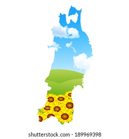 Sunflower Northeast landscape
