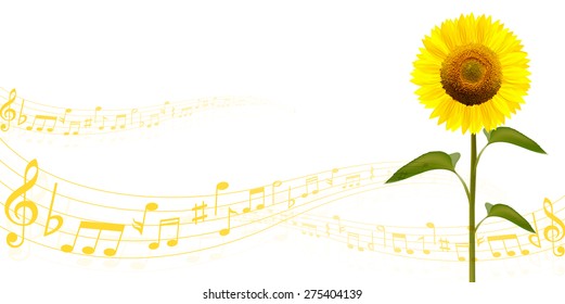 Sunflower note background
