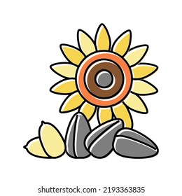 sunflower nut color icon vector. sunflower nut sign. isolated symbol illustration