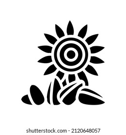 sunflower nut glyph icon vector. sunflower nut sign. isolated contour symbol black illustration