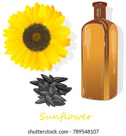 Sunflower oil bottle isolated on white illustration set