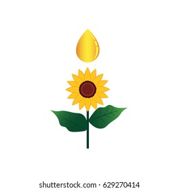 sunflower oil, flower, seed sunflower concept in the bottle with the flower.vector illustration