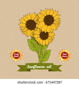 Sunflower oil label template. Set of elements for design sunflower oil. Vector hand drawn illustration.