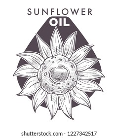 Sunflower oil, plant and text monochrome sketch outline vector. Natural agricultural ingredient, flower with petals and seeds, food seasoning ingredient and condiment. Helianthus blooming farm