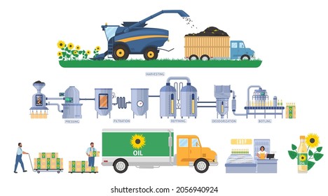 Sunflower oil production infographic, flat vector illustration. Seeds harvesting, transport. Vegetable oil processing plant, cooking oil production line. Distribution, sale, consumption. Food industry - Shutterstock ID 2056940924
