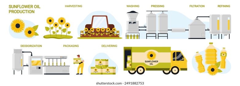 Sunflower oil production process in food industry, manufacturing stages set. Processing line with harvesting, preparation for filtration and deodorization, bottle packing cartoon vector illustration