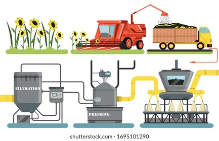 Sunflower Oil Production Process, Harvesting, Filtration, Pressing Automated Line Vector Illustration