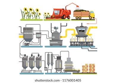 Sunflower oil production process stages, harvesting sunflowers and packing of finished products vector Illustrations