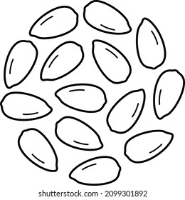 Sunflower oil seeds. Vector outline illustration.