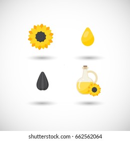Sunflower oil vector flat icons set, Flat design of food, agriculture or industry symbol with round shadow, cute vector illustration with reflections