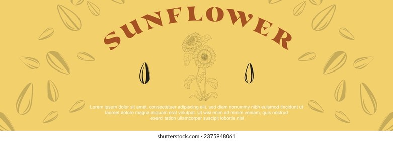 Sunflower oil vinatage vector templates of business banners. hand-drawn sunflower, sunflower seed pattern, and text space on a yellow background. Production of sunflower concept in engraving style