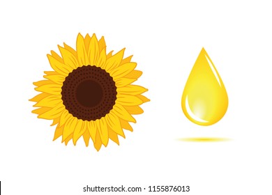 Sunflower oil yellow drop vector illustration EPS10