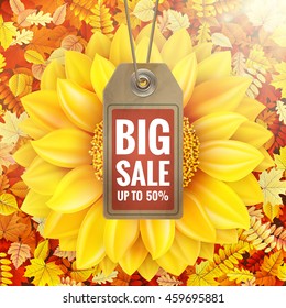 Sunflower on autumn foliage with sale tag. EPS 10 vector file included