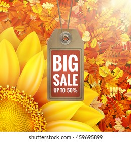 Sunflower on autumn foliage with sale tag. EPS 10 vector file included