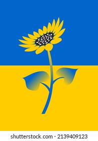 Sunflower on the background of the national flag of Ukraine. Vector.