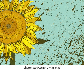 sunflower on a blue background