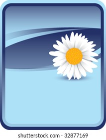 sunflower on blue background