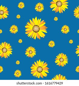 Sunflower on blue background. Seamless pattern. Vector illustration.