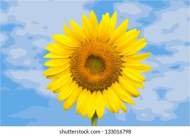 Sunflower on blue sky background, vector format