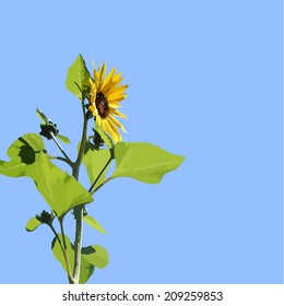 Sunflower on blue sky background, vector illustration