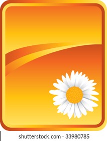 sunflower on classic clean background