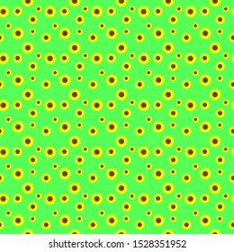 sunflower on green background seamless pattern