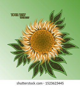 Sunflower on green background with text