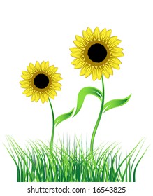Sunflower on green field