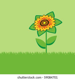 A sunflower on the green lawn