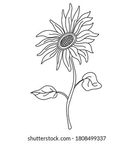 Sonnenblume auf einem langen Stamm mit Blättern im Doodle-Stil. Einziger Umriss. handgezeichnet Vektorgrafik auf schwarz-weißem Hintergrund.