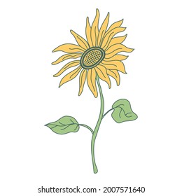 Sunflower on a long stem with leaves.  Hand drawn  vector illustration with color outline isolated on white background.