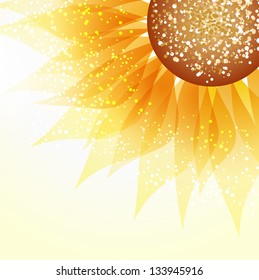 Sunflower on a pastel background