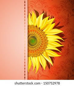 Sunflower on red background, vector illustration 